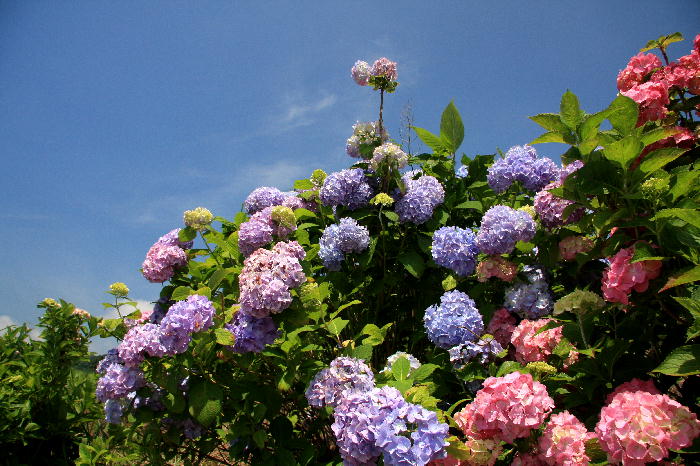 b0171185_038157.jpg