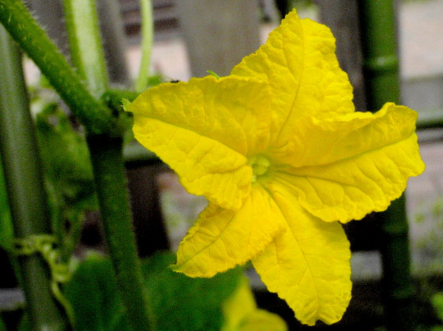 a0007388_7441911.jpg