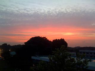 c0002089_23522438.jpg