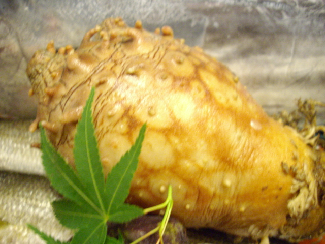 f0084695_9231375.jpg