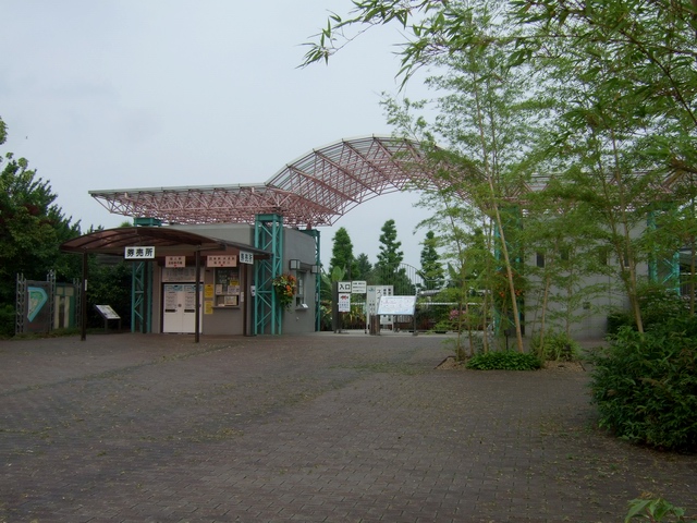 c0043403_2334948.jpg