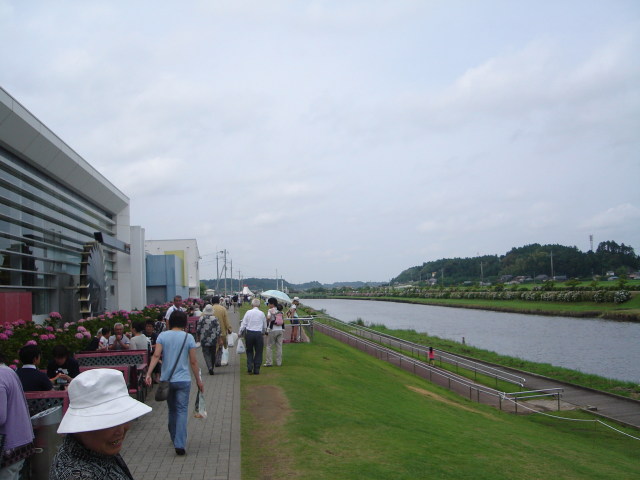 a0116205_1235624.jpg