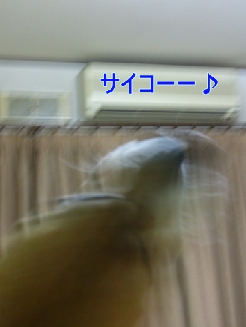 c0205806_18391155.jpg