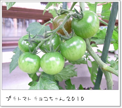 f0203406_8123560.jpg
