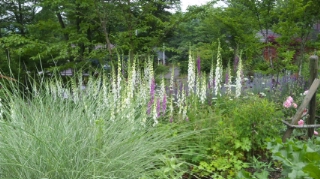 c0060308_10351886.jpg