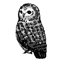 a0167510_16244161.jpg