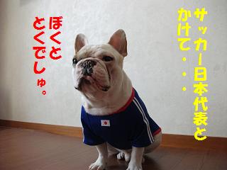 a0158613_16503858.jpg