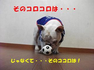 a0158613_16545090.jpg