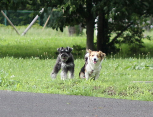 c0101713_2155971.jpg