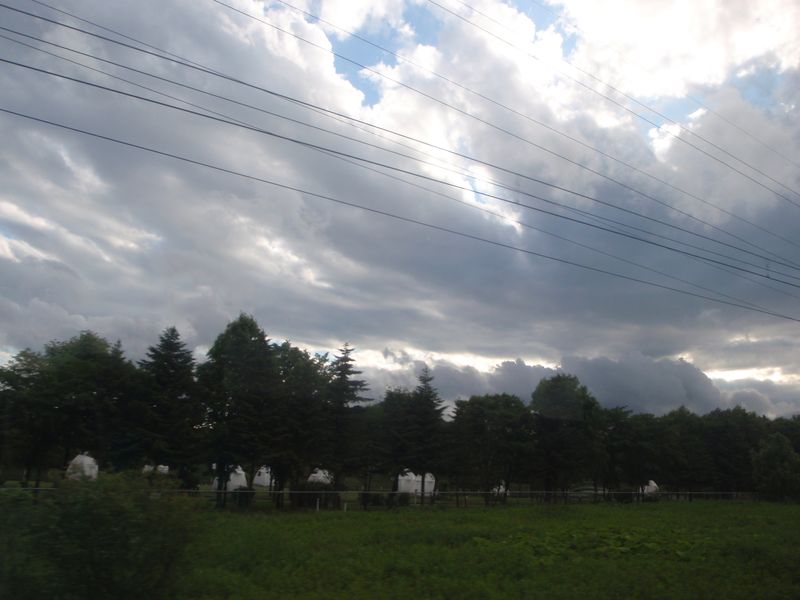 c0025115_22583574.jpg
