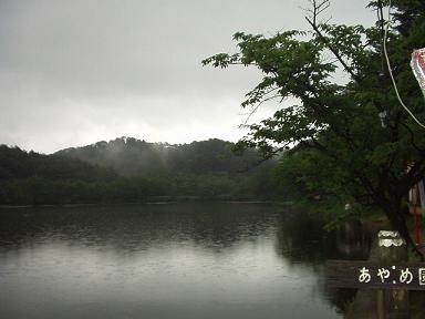 e0135219_130382.jpg