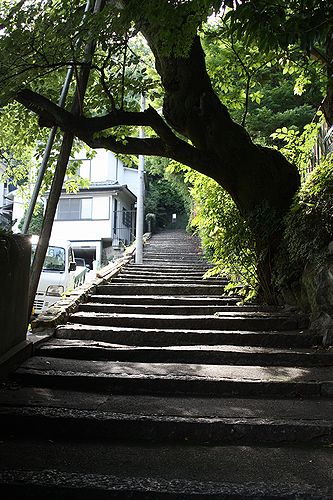 f0162319_1181698.jpg