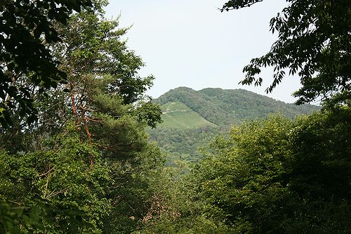 f0162319_1192334.jpg