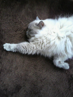 f0106823_1020114.jpg