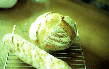 c0221827_13115911.gif