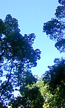 c0212929_9475011.jpg