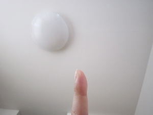 e0066135_95542100.jpg