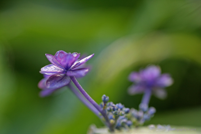 e0083238_2351246.jpg