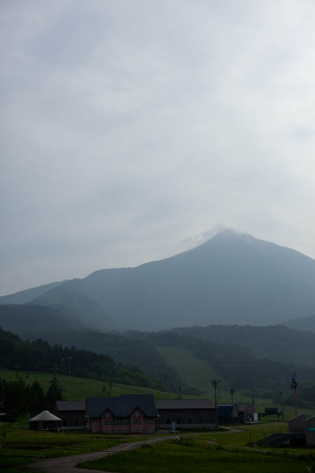d0139939_21422081.jpg