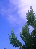 f0214139_12365723.jpg