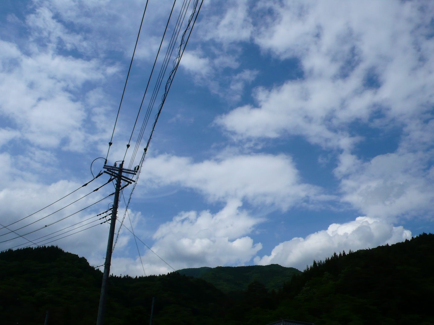 d0110340_11492484.jpg