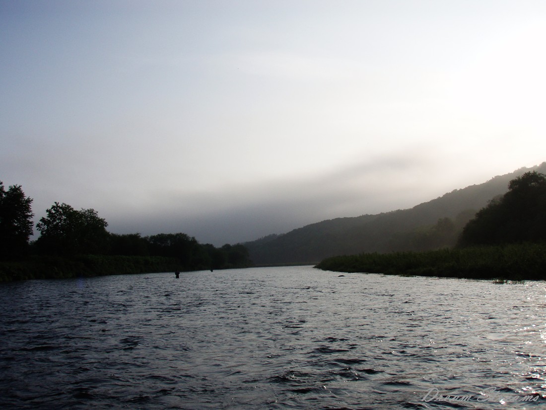 b0072541_955395.jpg