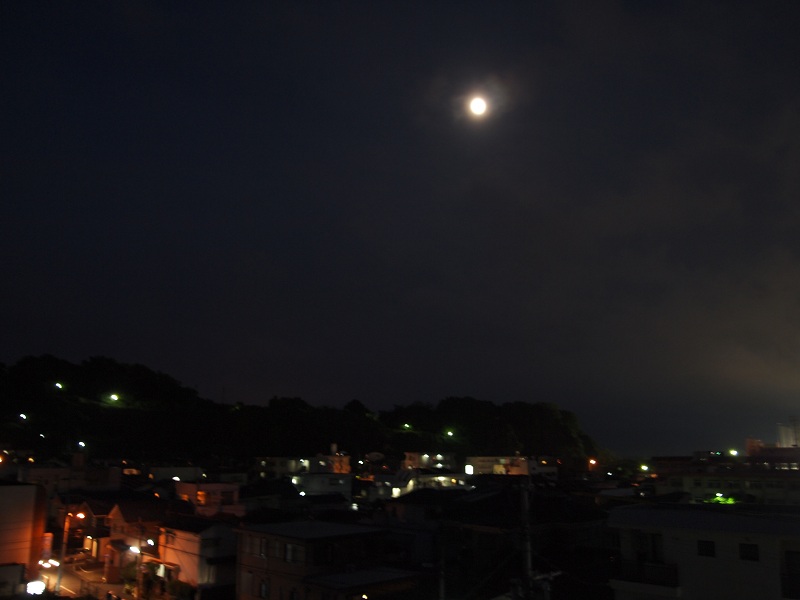 a0146442_7265269.jpg