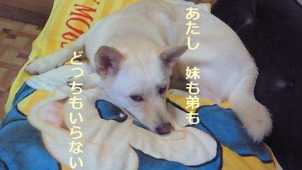 f0195543_2231055.jpg