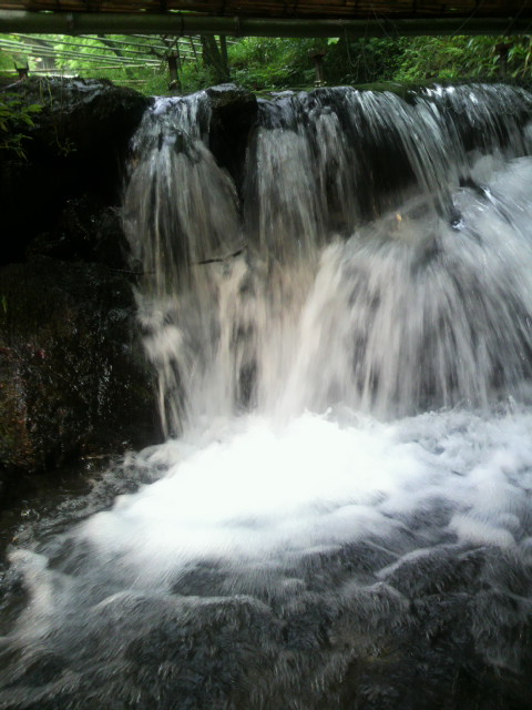 c0142045_8393469.jpg