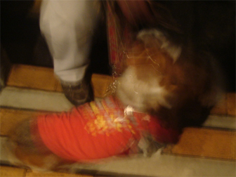 c0086746_13443795.jpg