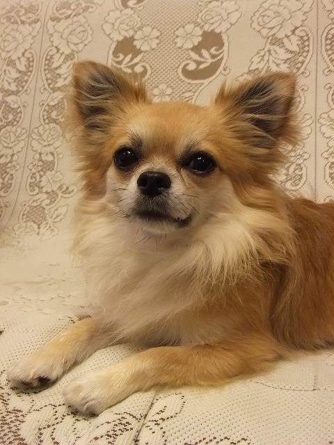 f0068649_2115329.jpg