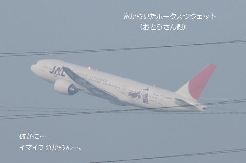 a0090451_1411305.jpg