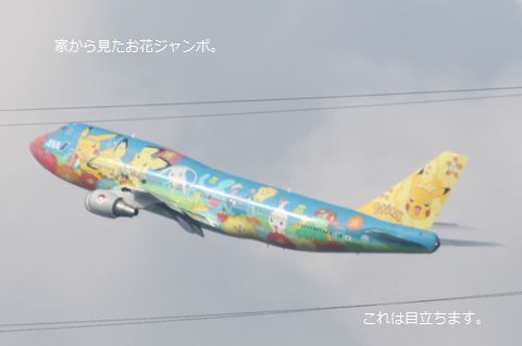 a0090451_17385811.jpg