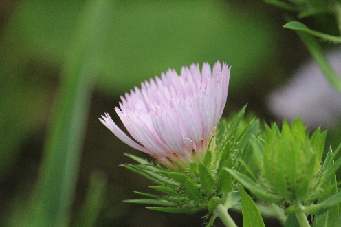 a0166851_2159333.jpg