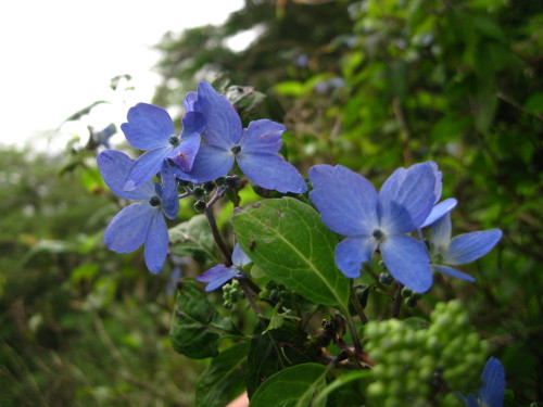 c0179351_23163764.jpg