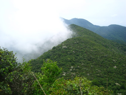 c0179351_23184015.jpg