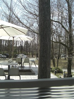 f0009451_953945.jpg