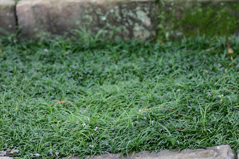 f0206452_8394836.jpg