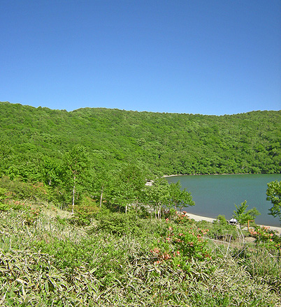 a0001354_2041027.jpg