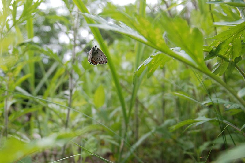 c0043361_0454845.jpg