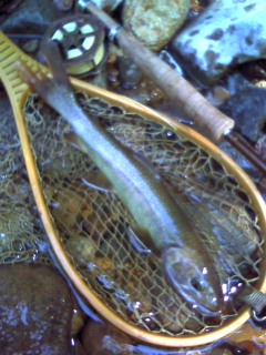 f0224363_21173068.jpg