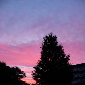 b0180764_23133779.jpg