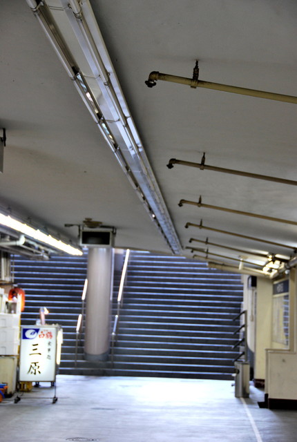 b0174068_0201281.jpg
