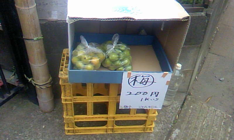 b0172370_12591552.jpg