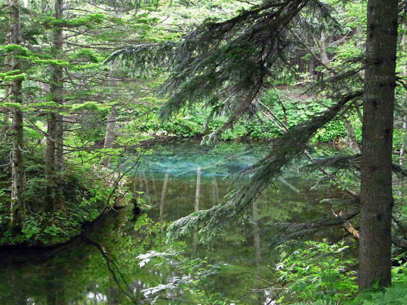 e0100772_23132126.jpg