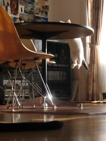 c0226874_13374255.jpg