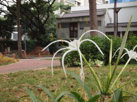 a0002177_11591641.jpg