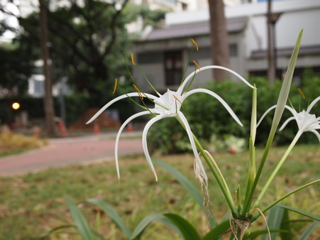 a0002177_1221696.jpg