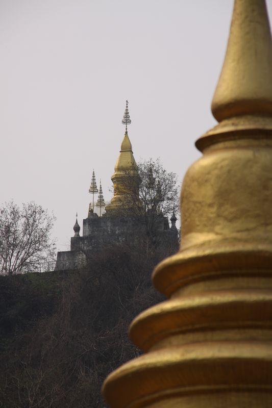 c0148781_2083988.jpg
