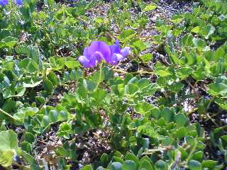 f0001781_104712100.jpg